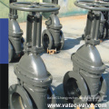 CS/Ss Cl150&300#&600lbs Flanged R. F/F. F/R. T. J Gate Valve